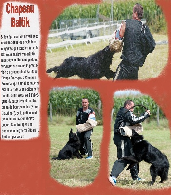 des étangs sauvages - Baltik dans le magazine CHIENS 2000