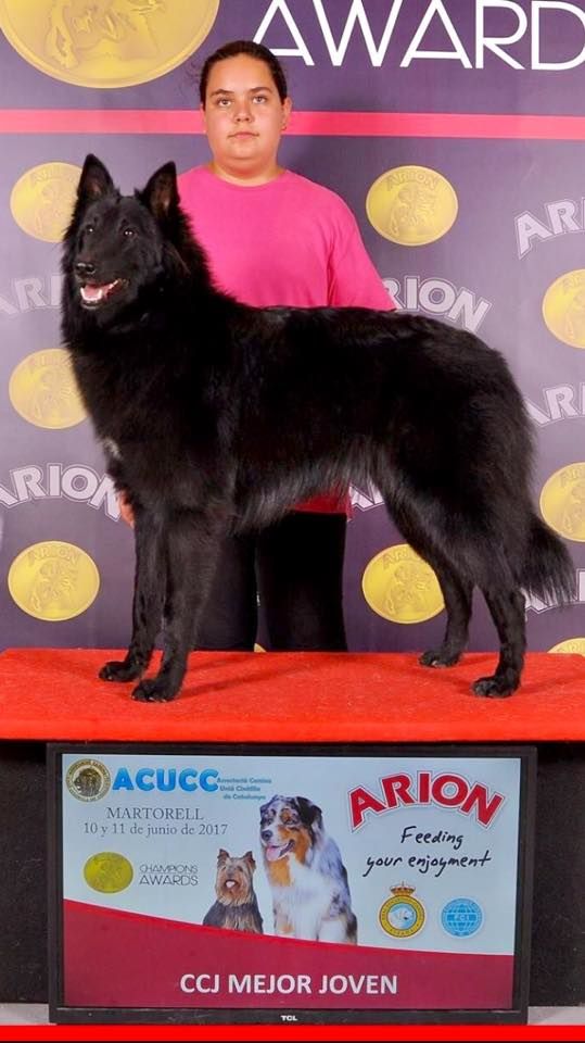 des étangs sauvages - Miss-bel Championne jeune en Espagne