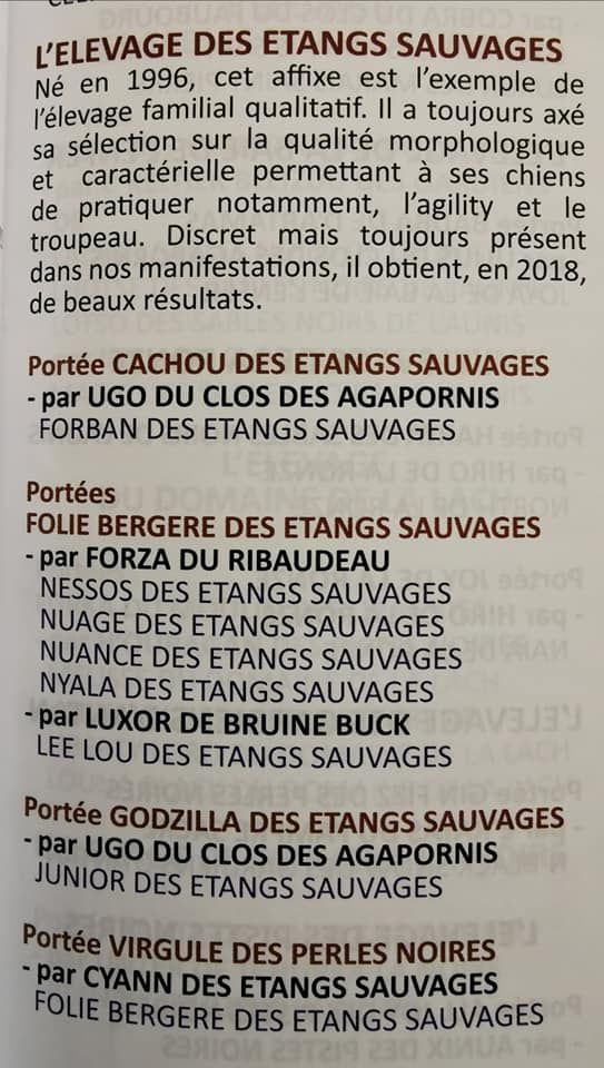 des étangs sauvages - Resultats de l elvage. Palmares 2018
