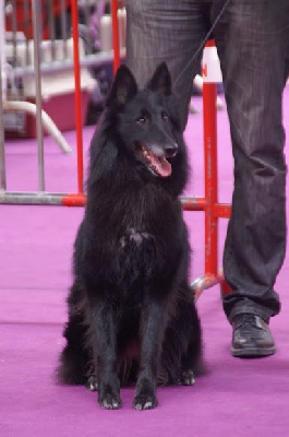 des étangs sauvages - Spéciale Valence 2012