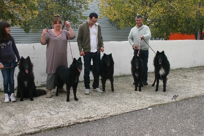 des étangs sauvages - CACIB Marseille 2012